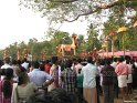 mangad-pooram-2011 (36)